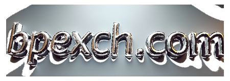 bpexch com logo